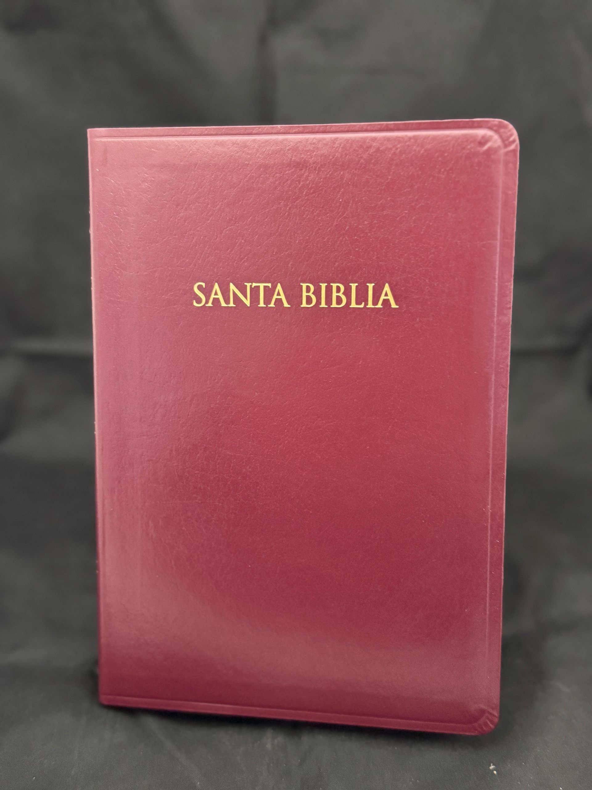 Biblia Reina Valera 1960