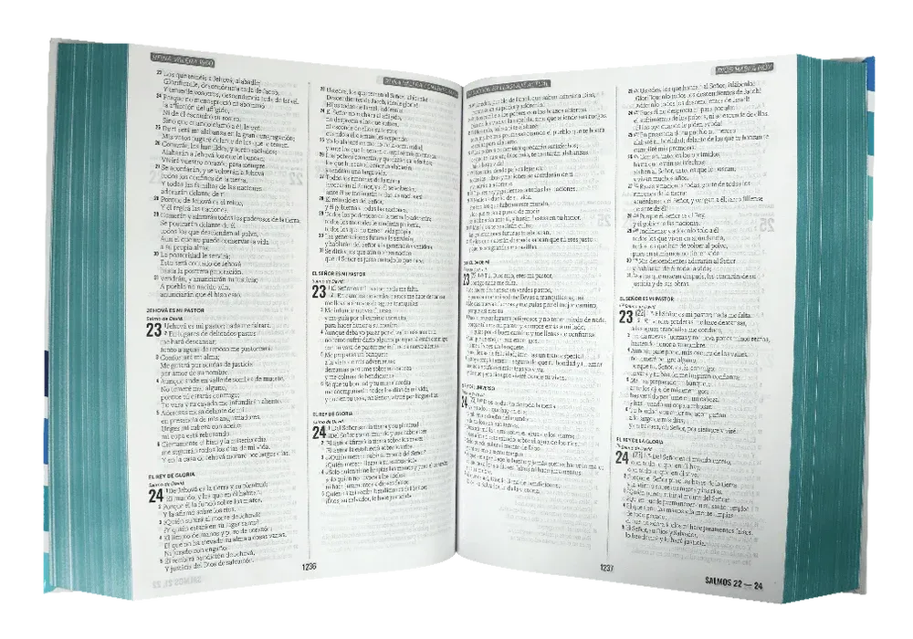 Biblia Multiversiones