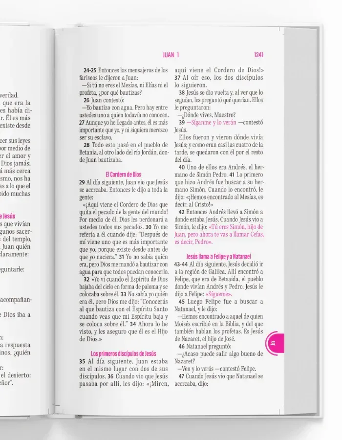 Biblia Traducción Lenguaje Actual Letra Grande PJR Familias Saludables TD Colores