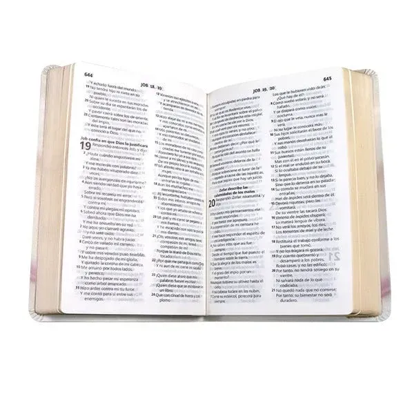 Biblia Reina Valera 1960 B/R