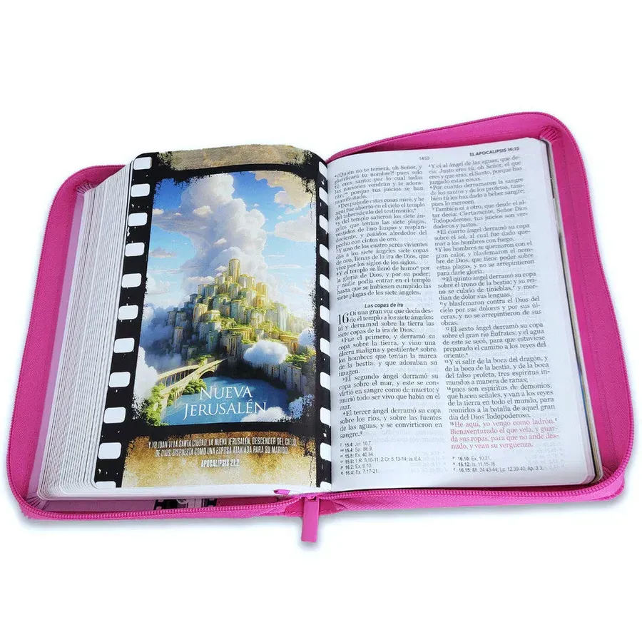 Biblia Héroes Niña