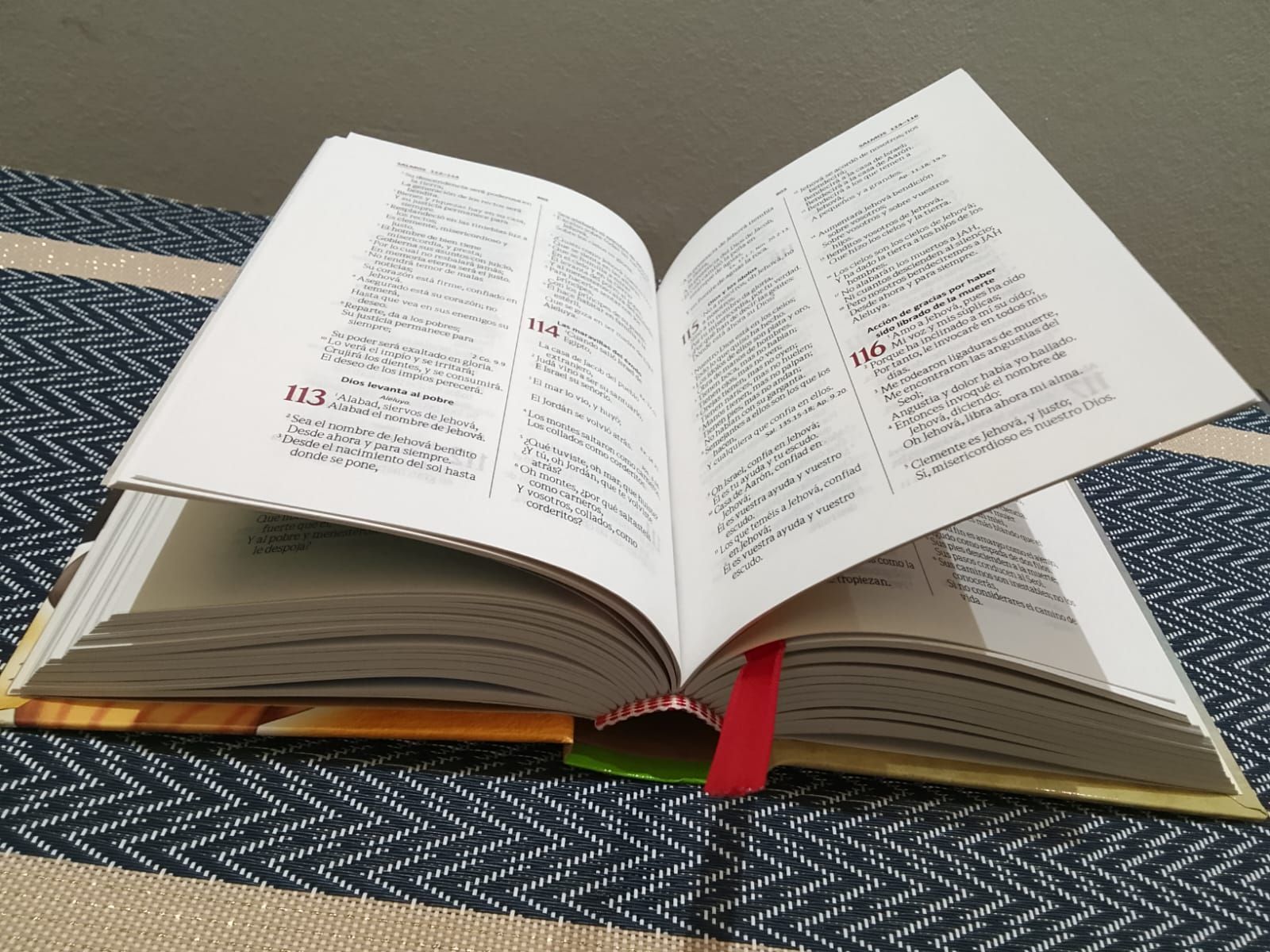 Biblia Amigos por Siempre