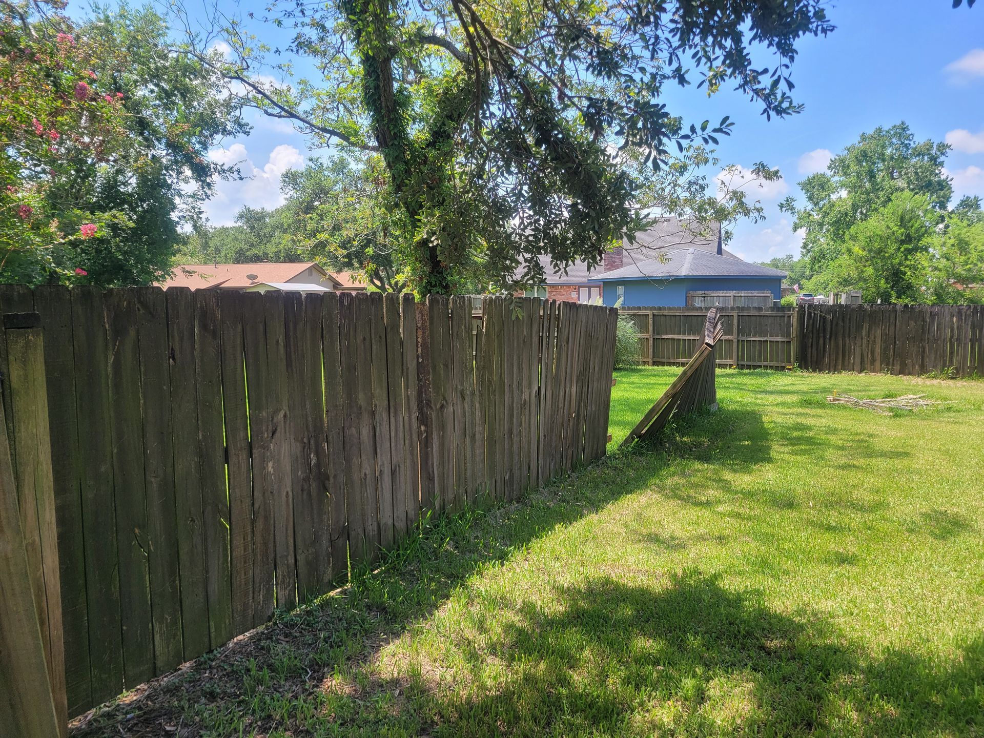 Wooden fence beside a grassy yard under trees on a sunny day