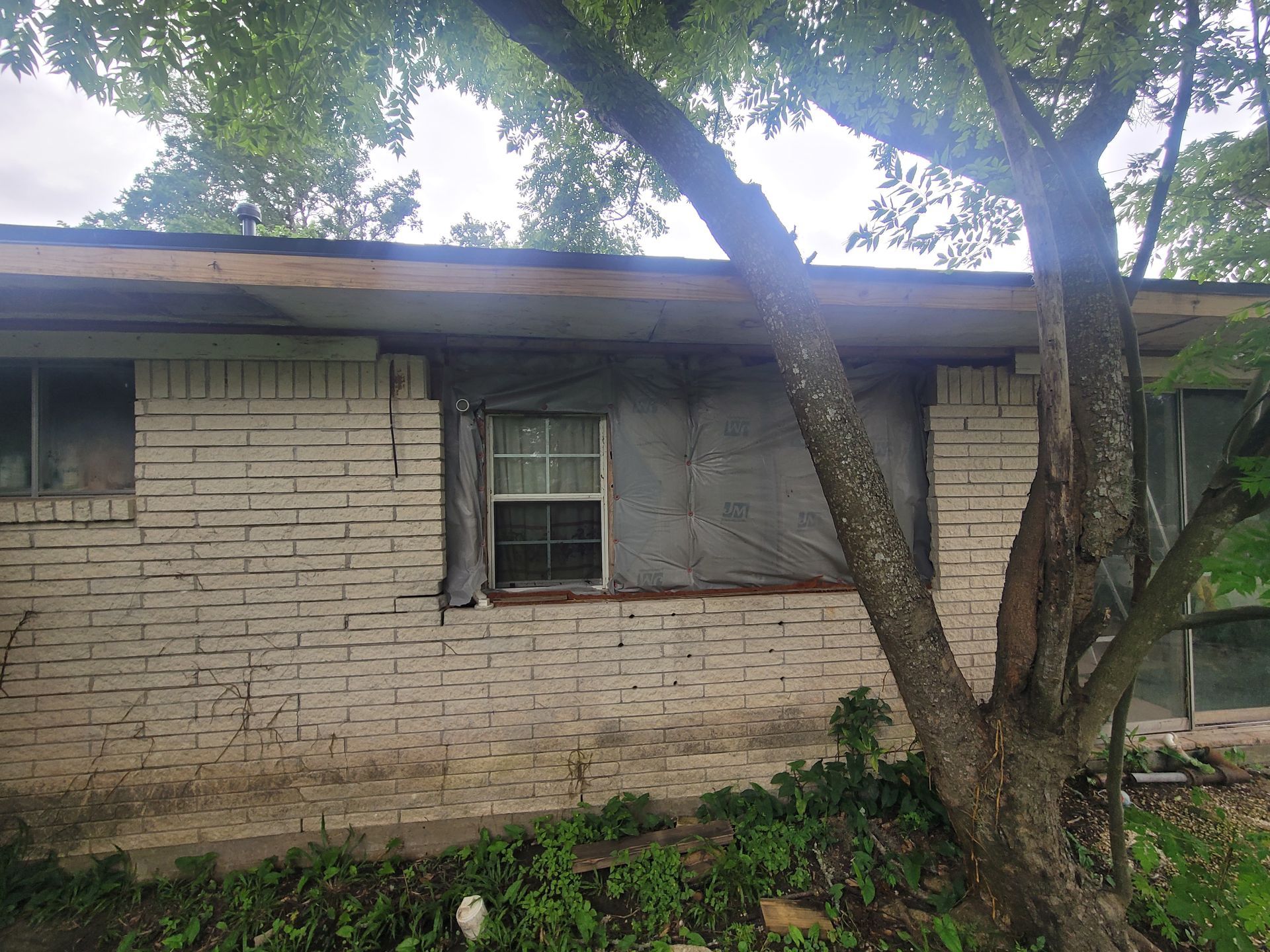 Single-story brick house with a window and a large tree in the yard.