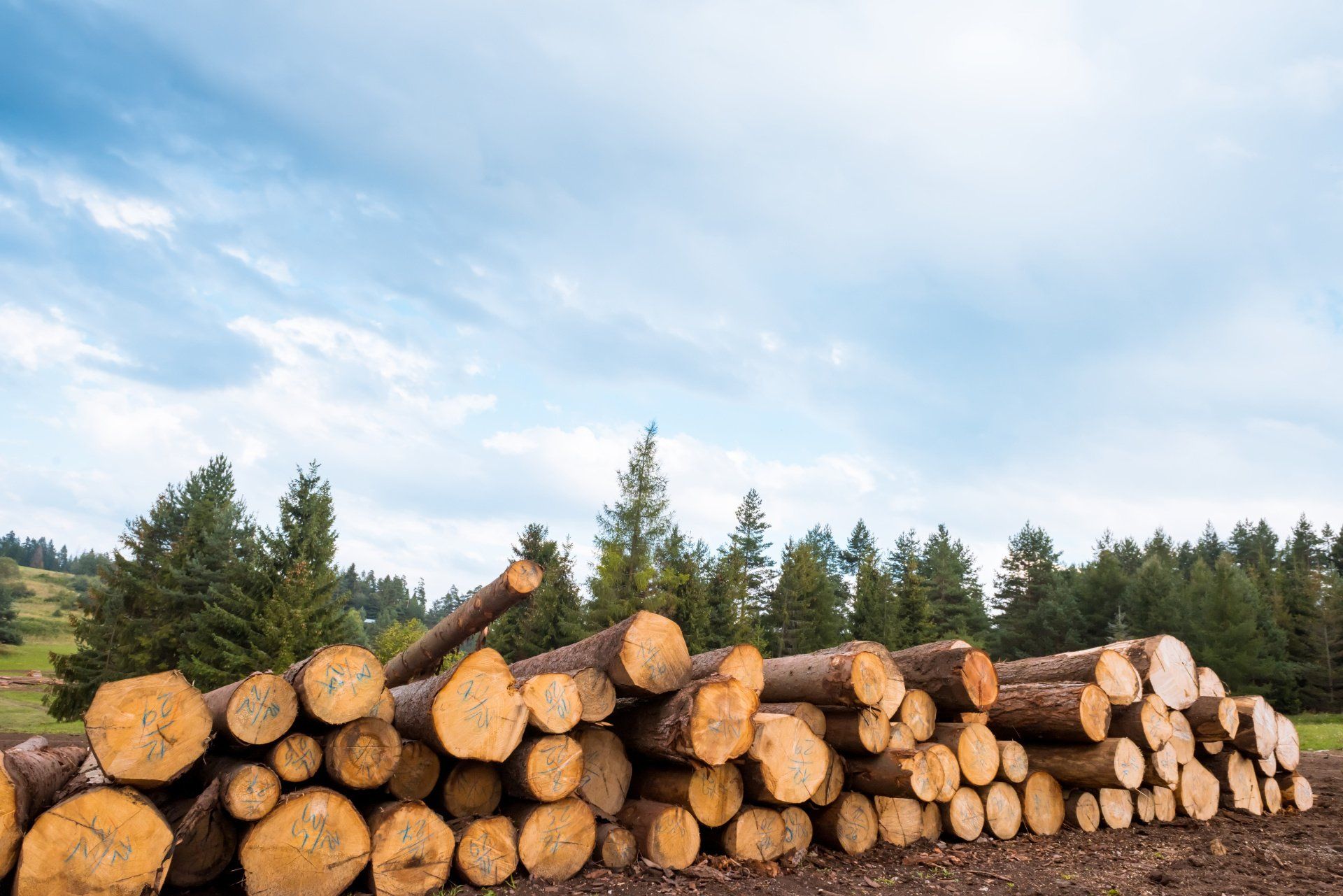 A pile of logs in a field with trees in the background.