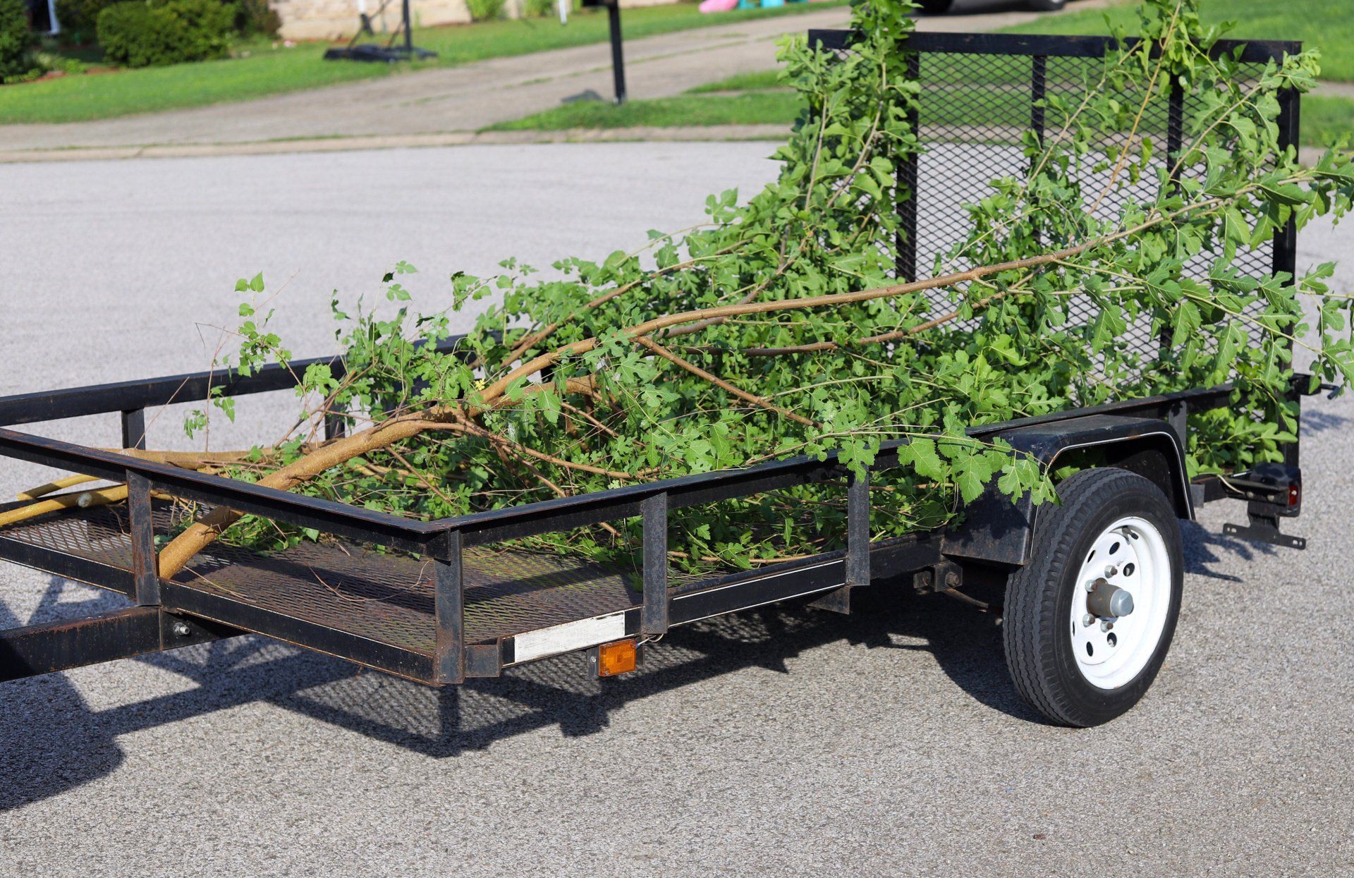A trailer filled with branches and leaves is parked on the side of the road.