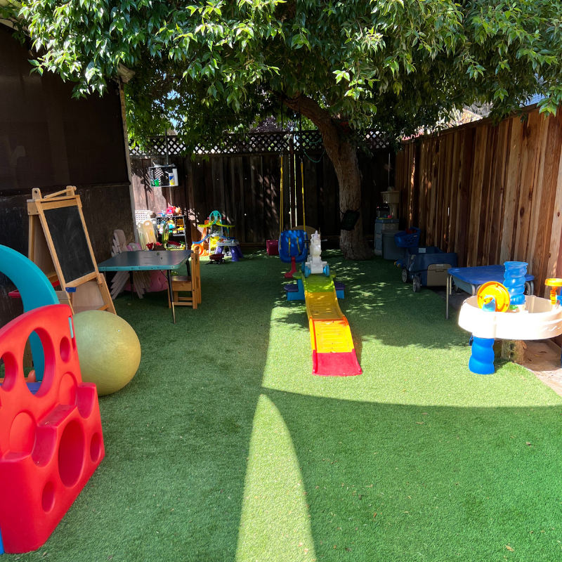 Little Zebra playground image