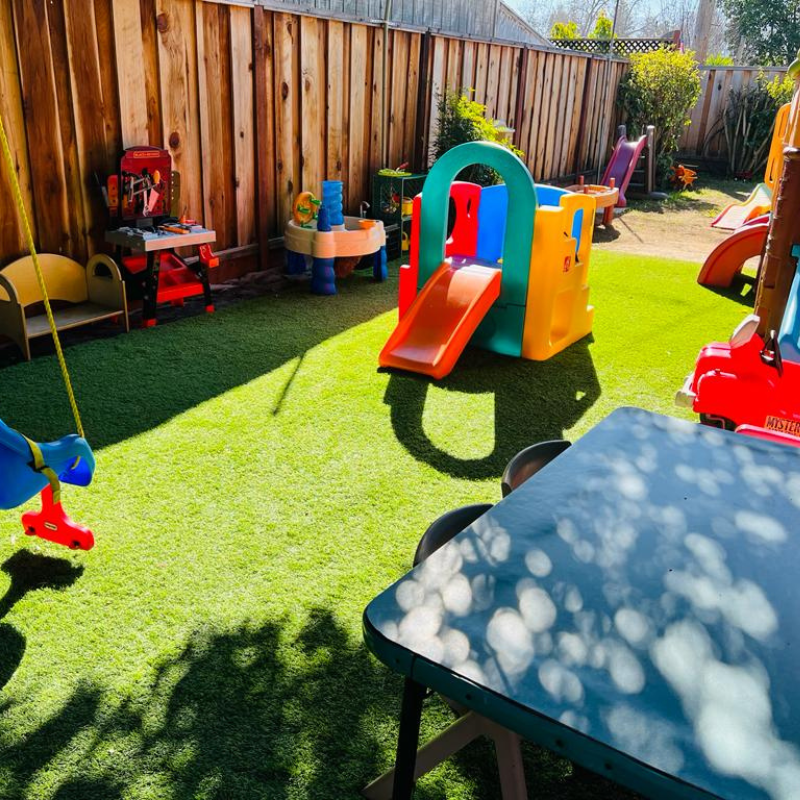 Little Zebra playground image