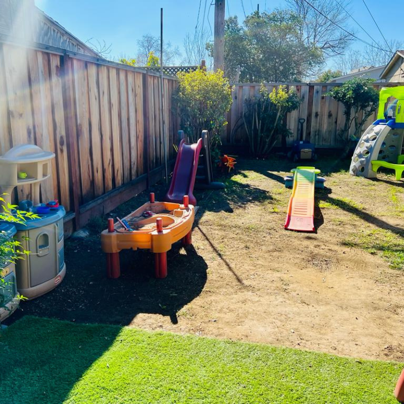 Little Zebra playground image