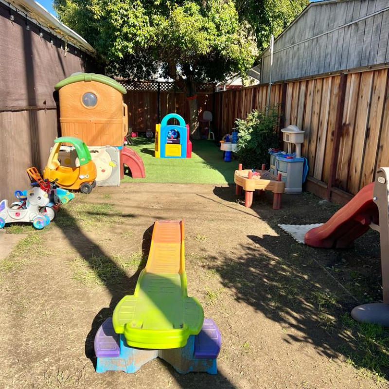 Little Zebra playground image