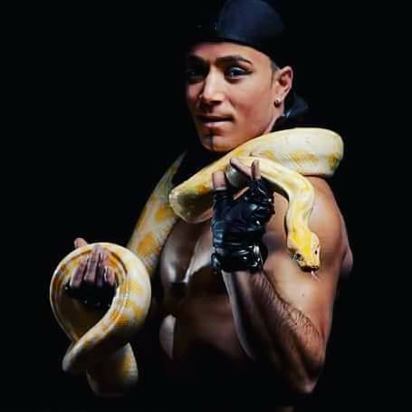 Reptielenshow Reptielenshow