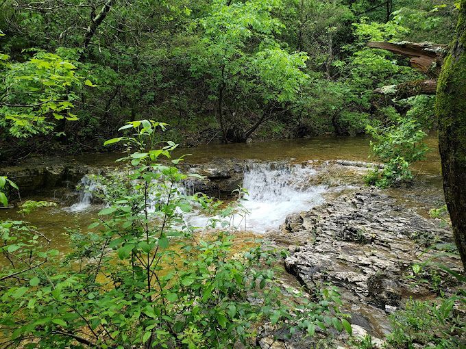 A small waterfall is surrounded by trees and rocks in the middle of a forest.
