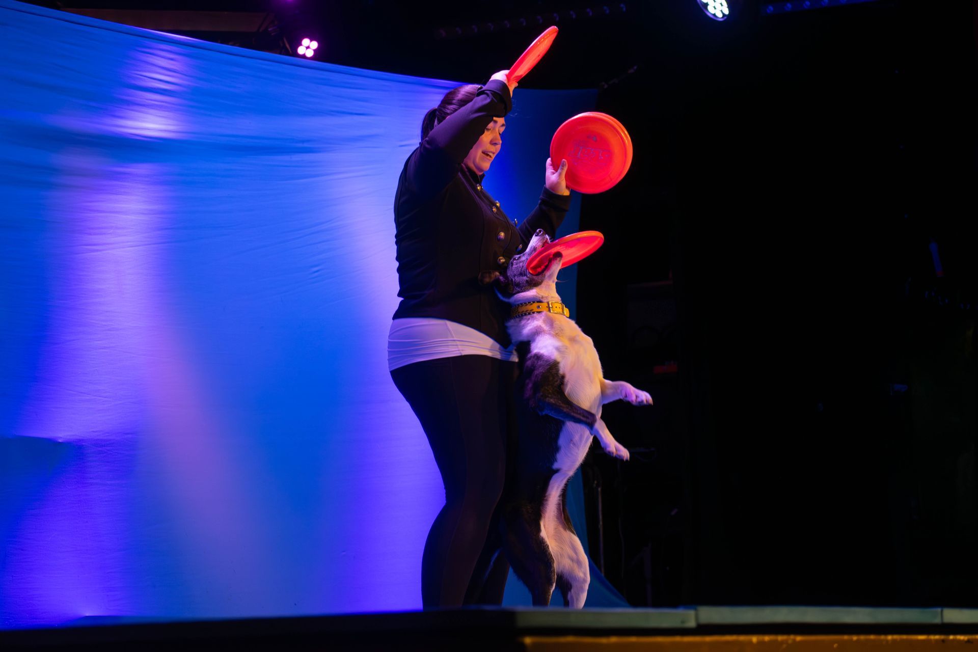 A woman is playing frisbee with a dog on a stage.