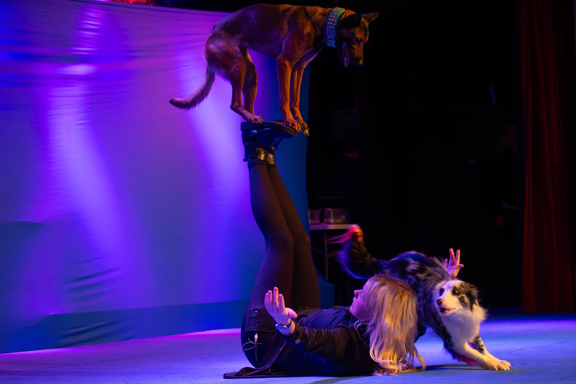 A woman is laying on the floor with a dog on her shoulders.