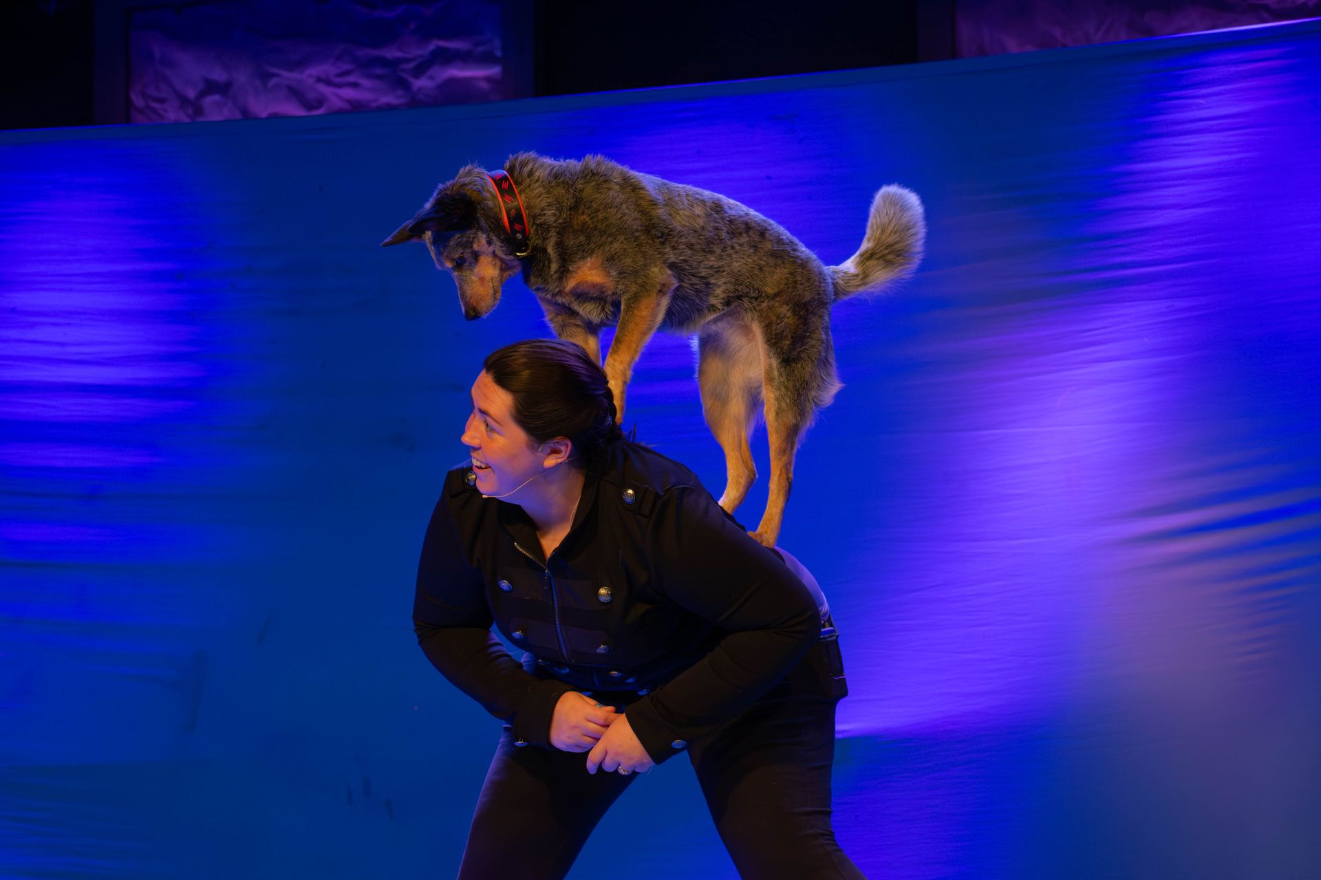 A woman is standing on a stage with a dog on her back.