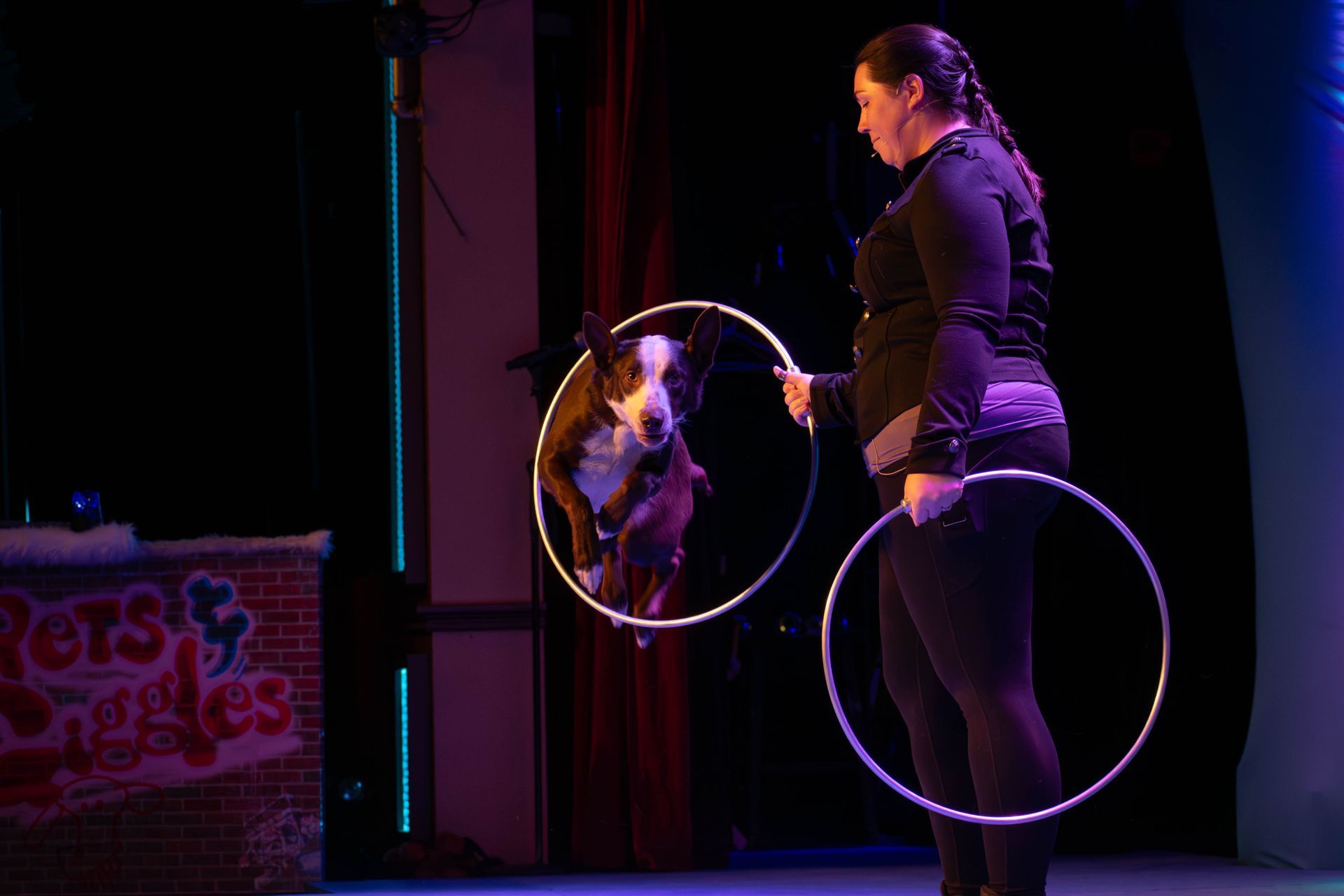 A woman is holding two hula hoops in front of a dog.