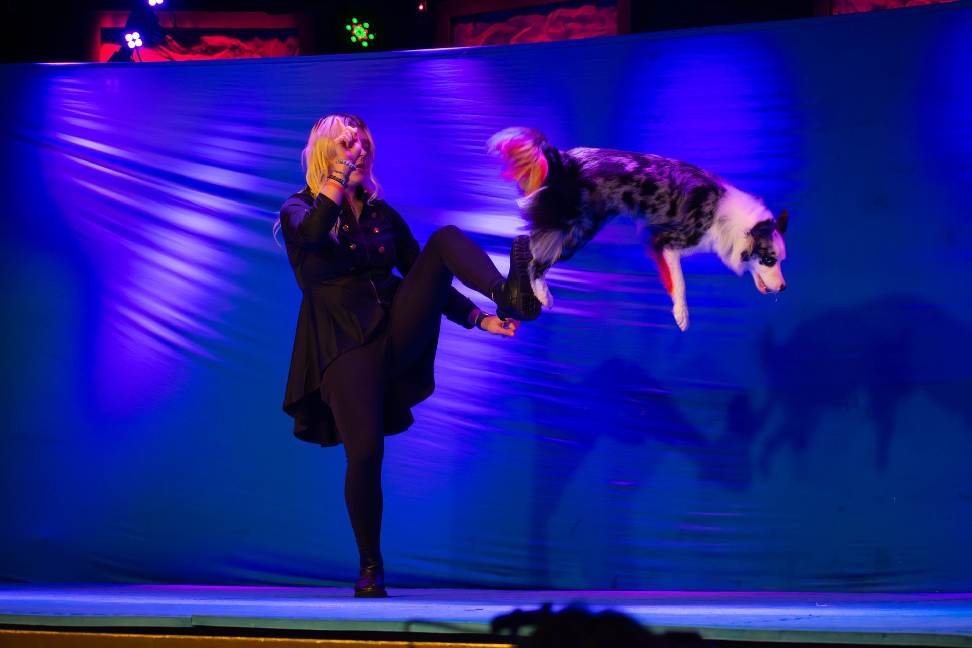 A woman is kicking a dog in the air on a stage.