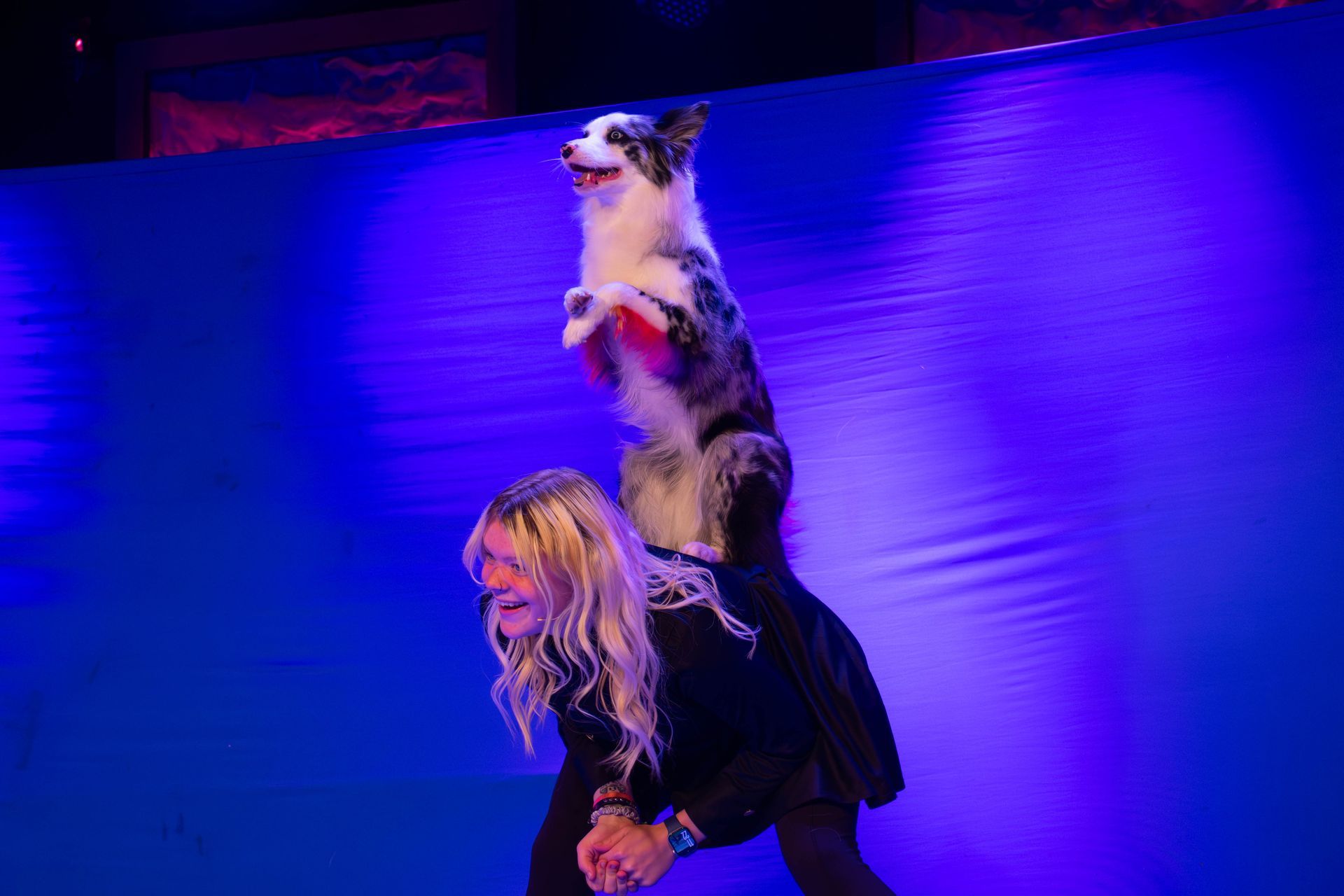 A woman is holding a dog on her shoulders on a stage.