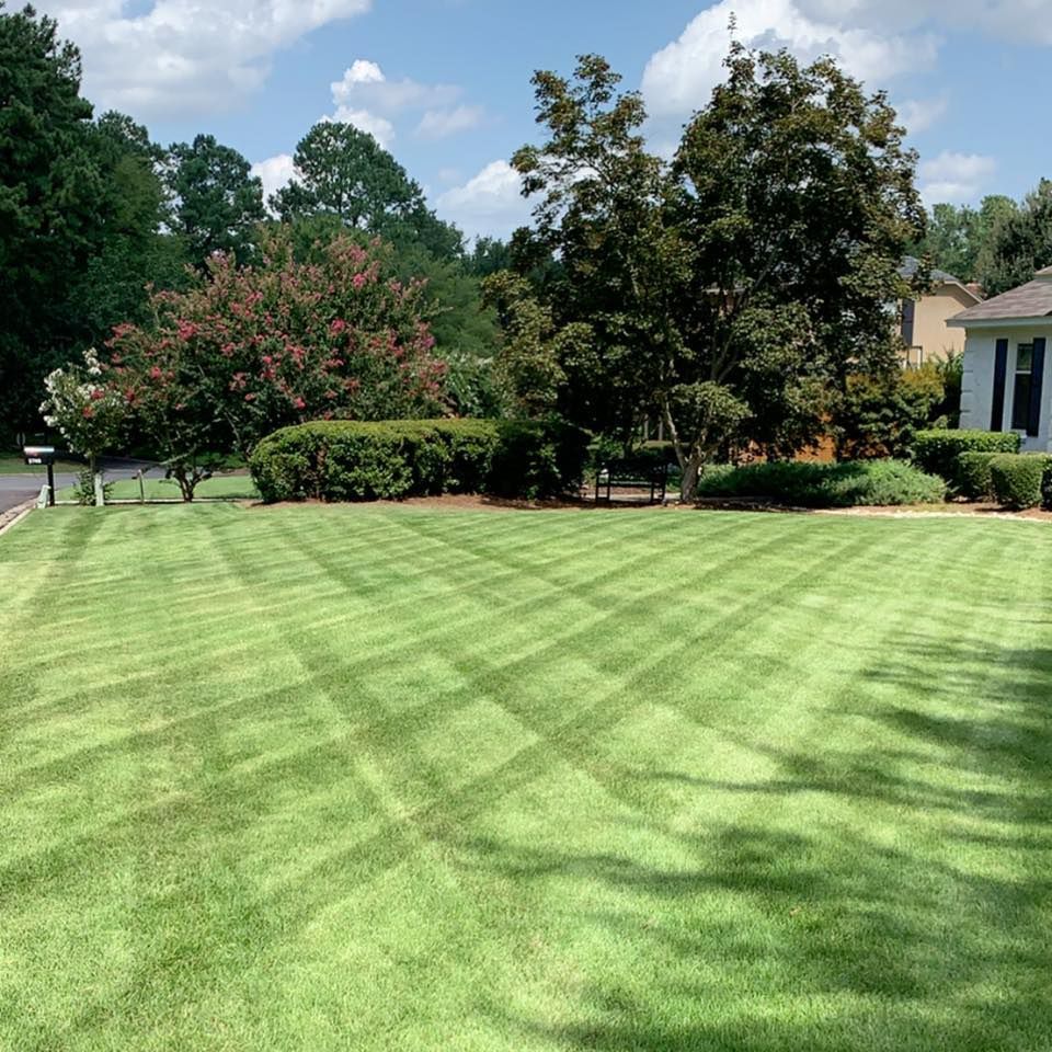 Lawn with a crisscross mowing pattern; trees, bushes, and a house in the background on a sunny day.