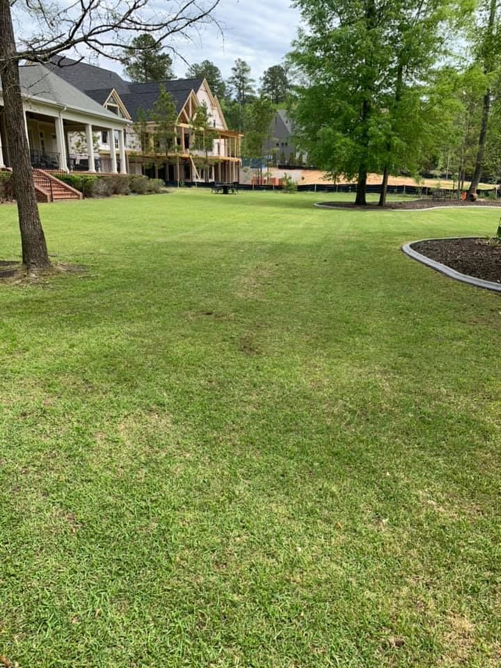 Green lawn with houses in background, trees, and a curved border. Overcast day.