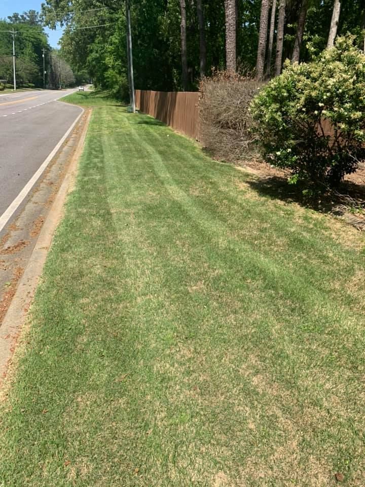 Grassy strip along a road, bordered by a sidewalk and a brown fence, with a large bush on the right.