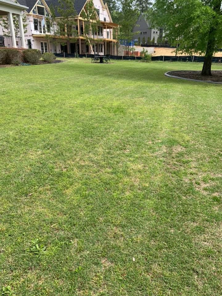 Grassy backyard with new construction in the background and a tree on the right.