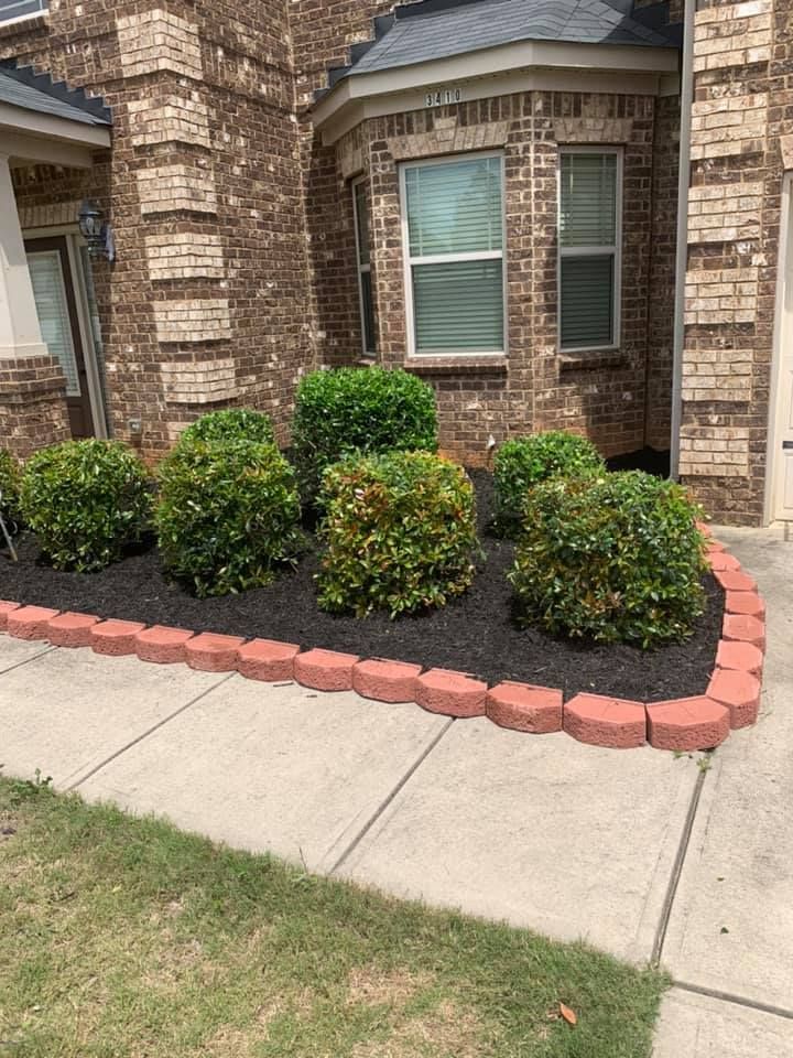 Green shrubs in a mulched bed with brick edging, in front of a brick house with a sidewalk.
