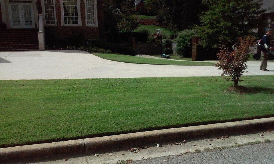 Lush green lawn, concrete driveway, brick house with windows, person walking on sidewalk.