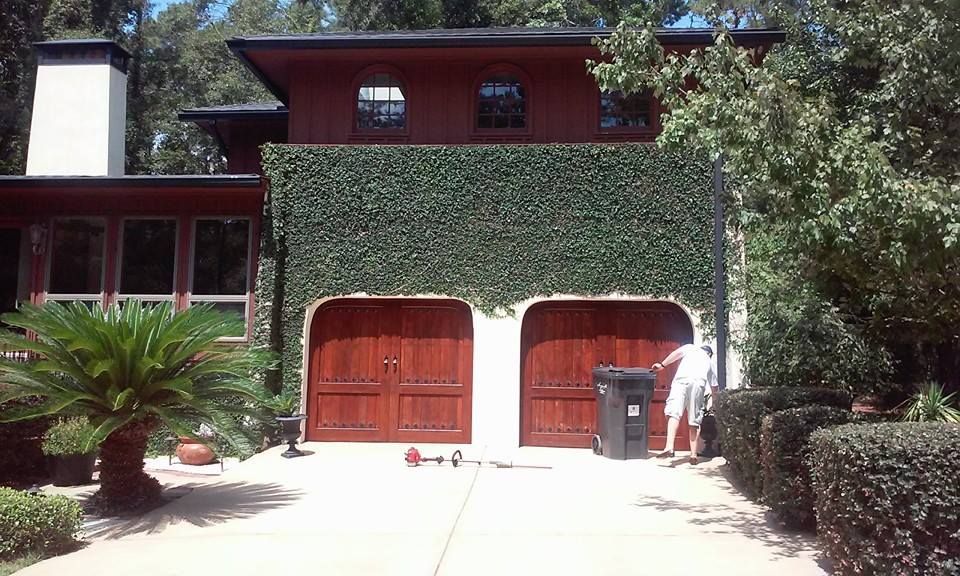House exterior with a garage covered in vines; person by trash can.
