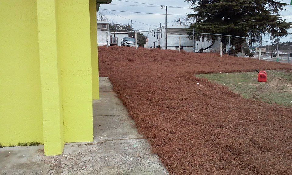 Yellow building with brown pine needle mulch, concrete path.