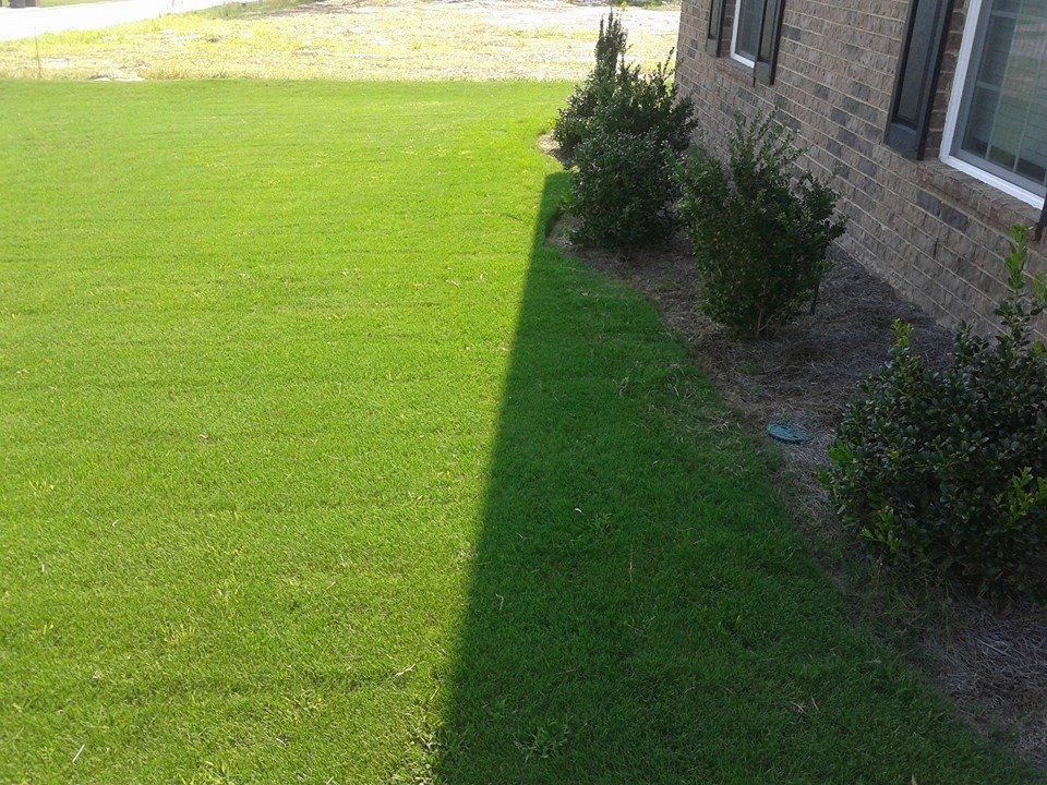 Green lawn next to a brick house with shrubs; sunny day with shadow.