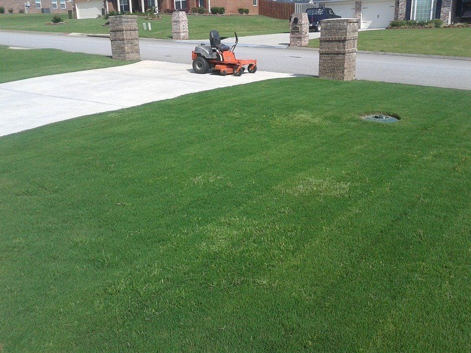 Person mowing green lawn with an orange riding mower in front of a house.