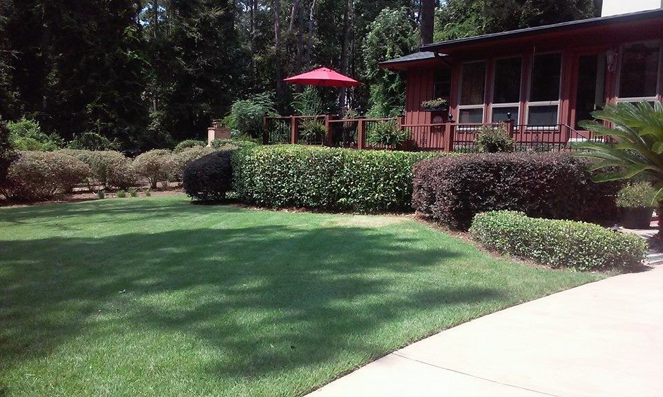 Lush green lawn with manicured bushes, a red umbrella over a deck, and a reddish-brown house.