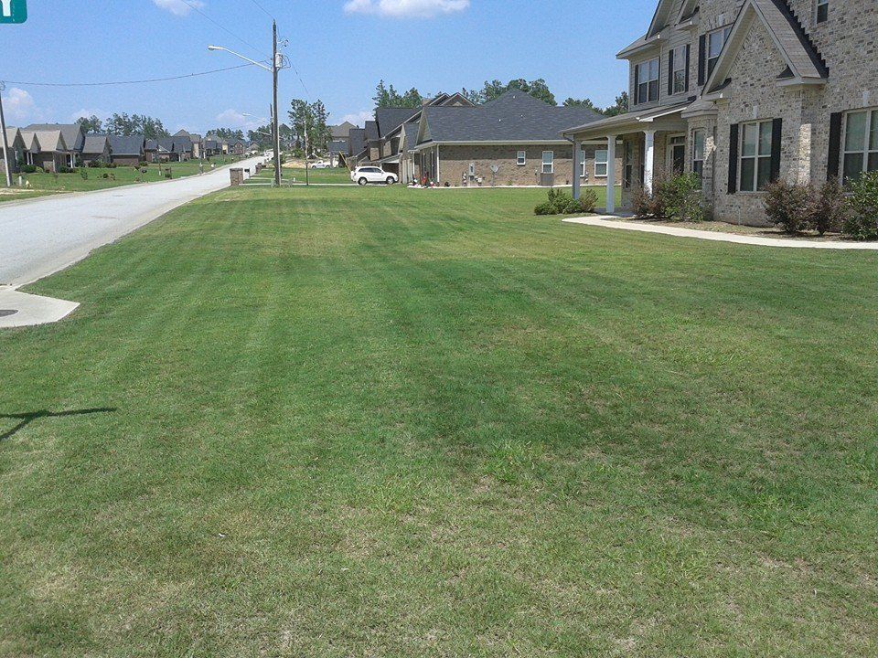 Lush green lawn in front of a two-story brick house, a street, and other houses on a sunny day.