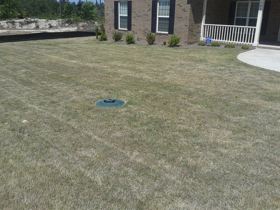 A front yard with brown grass, a house in the background, and a septic tank lid in the center.