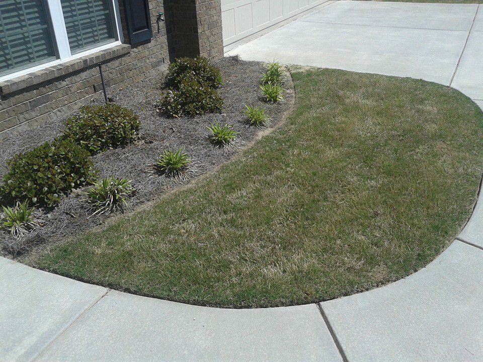 A small front yard with grass and bushes bordered by a curved driveway and sidewalk.