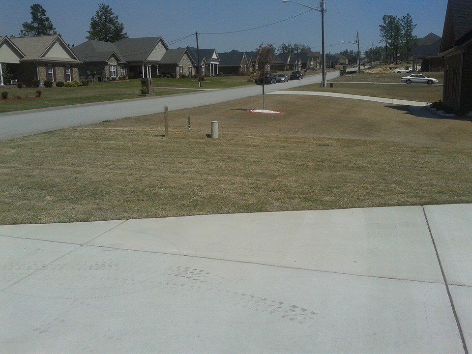 Suburban street scene with houses, a lawn, and a concrete driveway in the foreground.