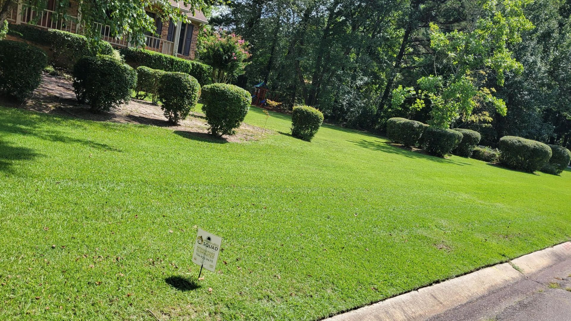 Lush green lawn on a slight slope, with trimmed green bushes and trees in the background. Sunny day.