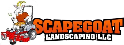 A blurry picture of the word logo on a white background.