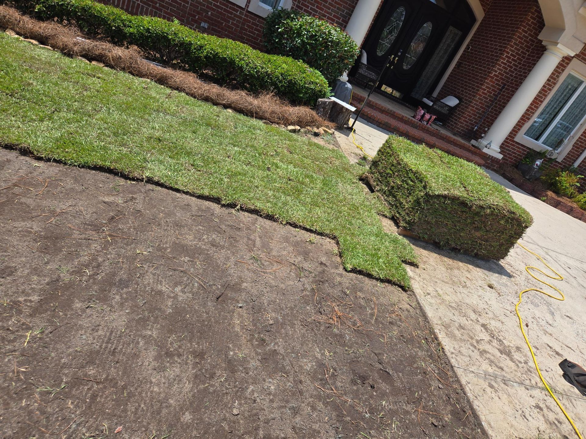 Freshly laid sod on brown dirt, adjacent to a driveway. A hedge shaped into a cube. House in the background.