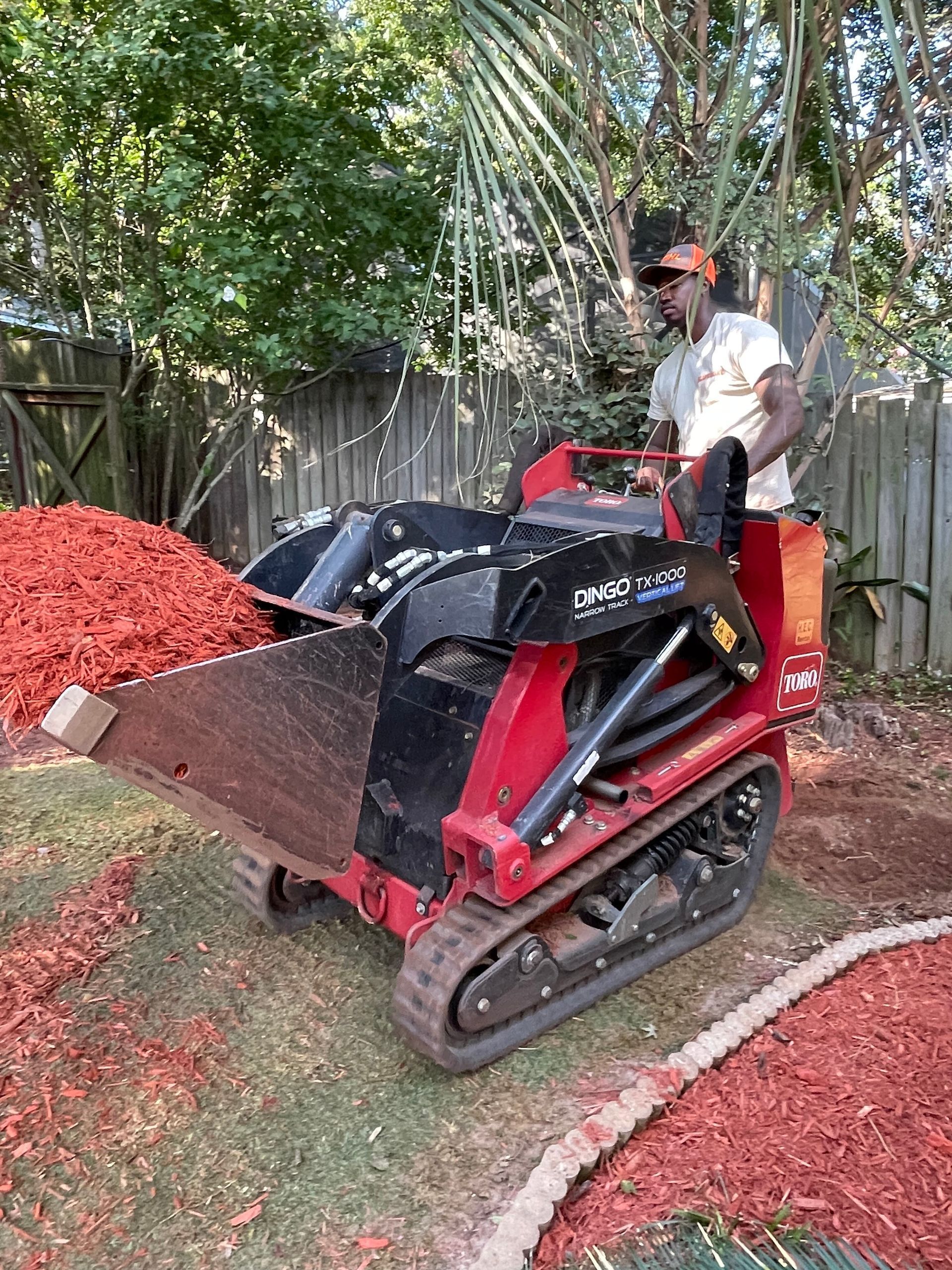 Man operating a red and black mini-dumper in a yard, spreading red mulch.