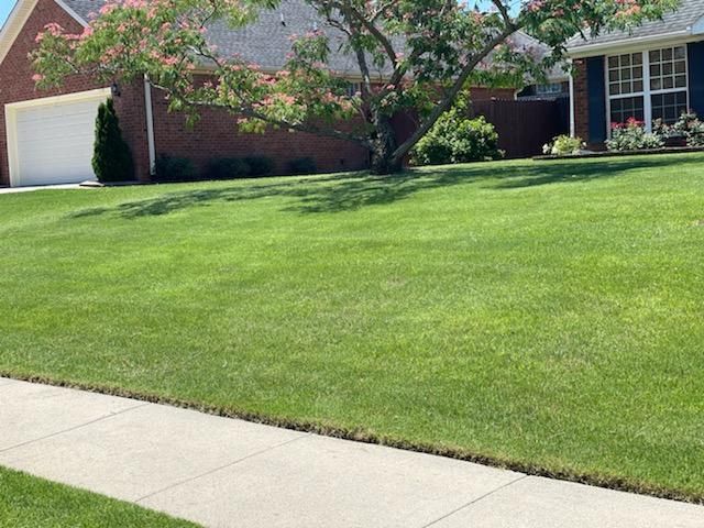 Green lawn in front of a brick house with a white garage door and a tree. Sunny day.