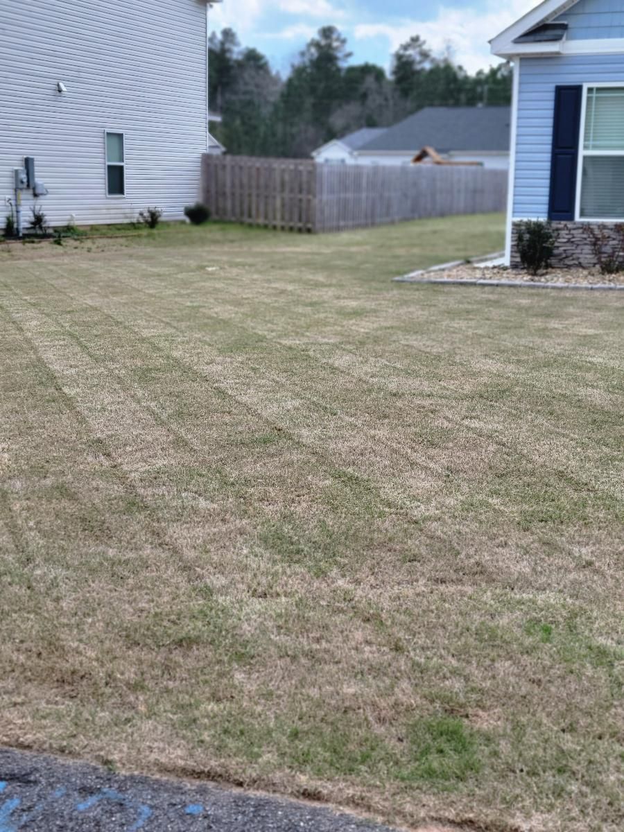 Brown lawn with mowing stripes in front of two houses and a fence.