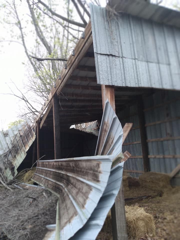 Damaged shed with collapsed metal roof, weathered wood, and hay bales inside.