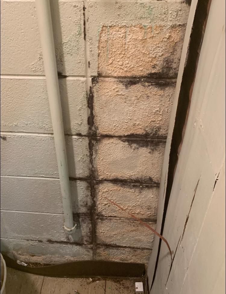Moldy, deteriorating concrete block wall with a white pipe. Black mold present.