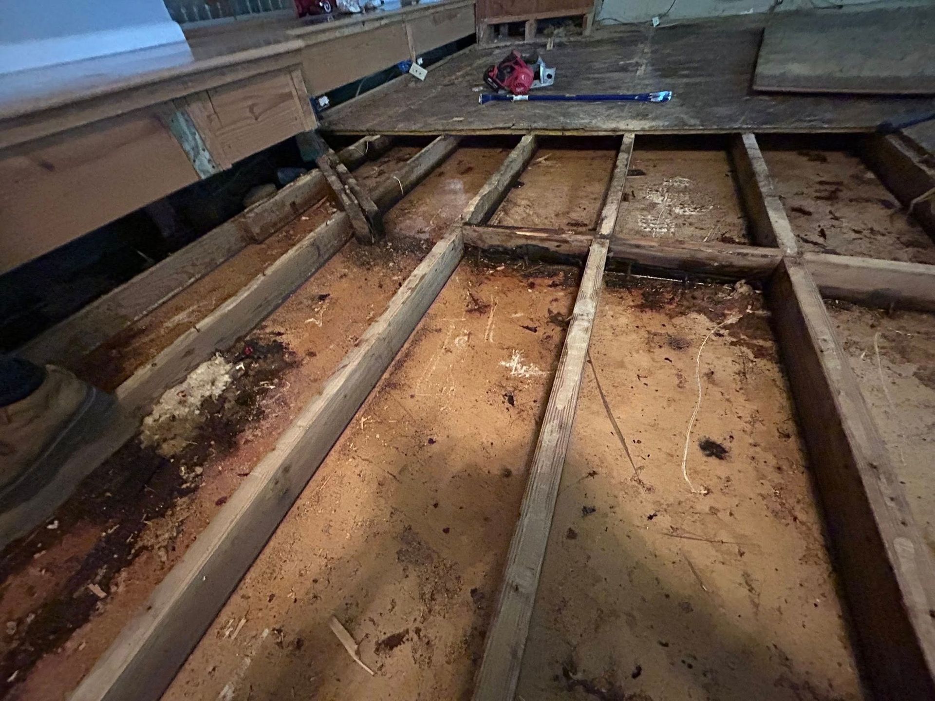 Exposed wooden floor joists and subfloor in a room, showing signs of damage and debris.