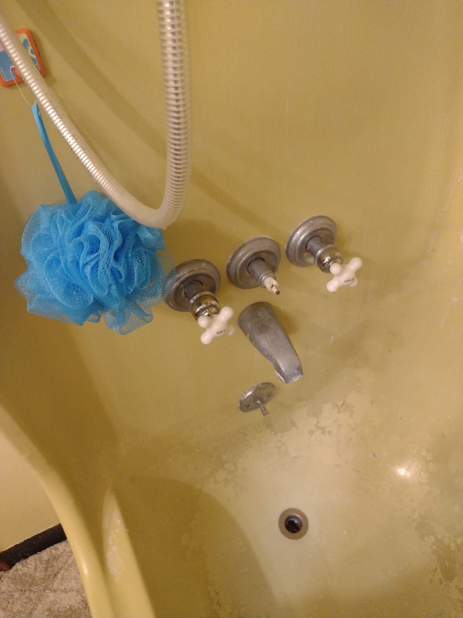 A bathtub with a shower head and a blue sponge.