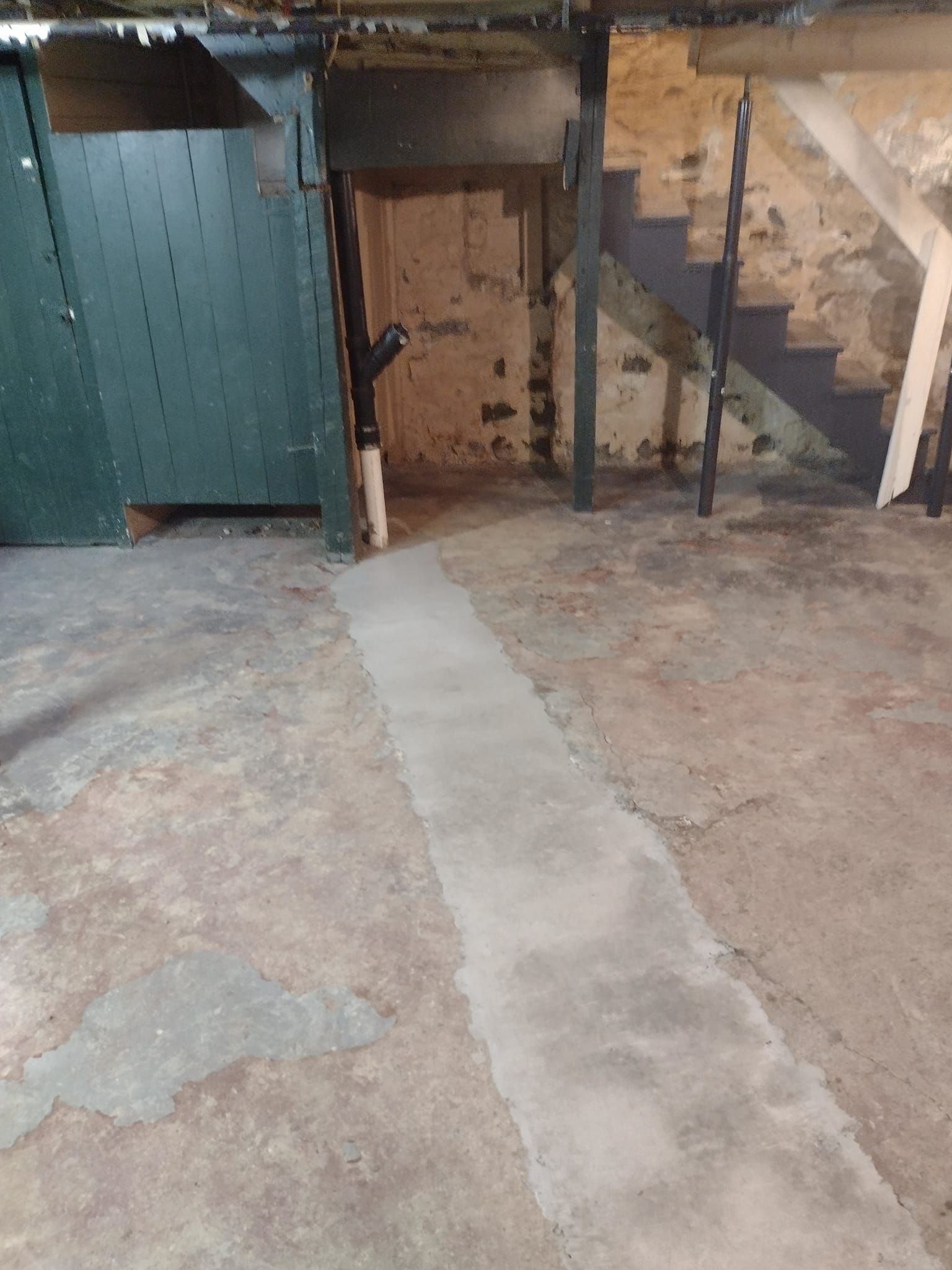 A basement with stairs and a green door.