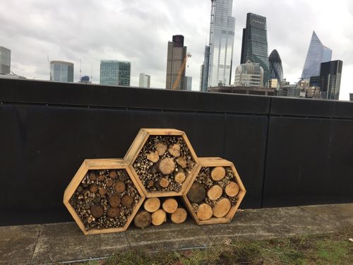 solitary bee hotels