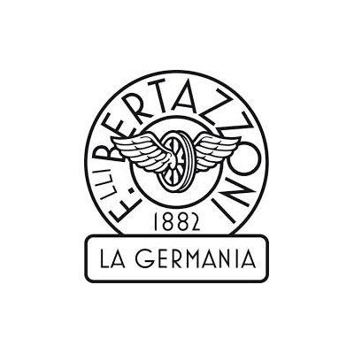 logo bertazzoni